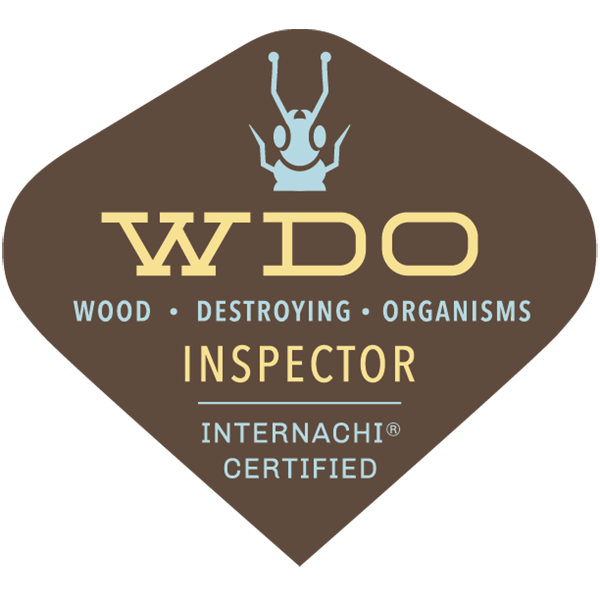 Certified Wood Destroying Insect Inspector