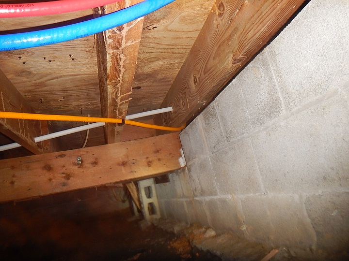 termite evidence found on a home inspection near jasper indiana