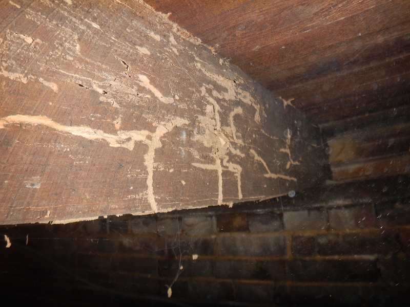 Structural termite damage to a floor joist found on a home inspection near Washington, IN