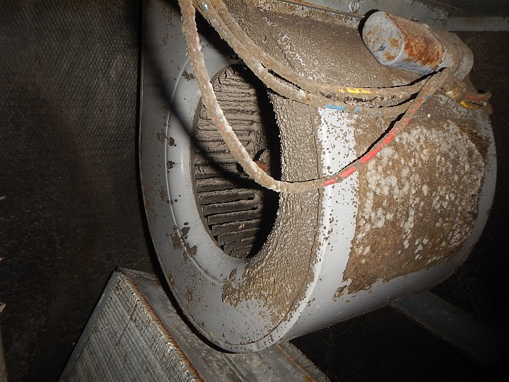 mold in a furnace blower found on a home inspection near Evansville indiana