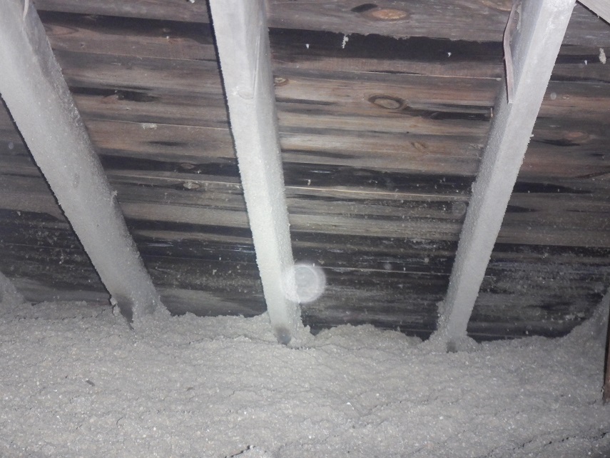 Wet roof decking and mold found by the home inspector near Evansville, IN