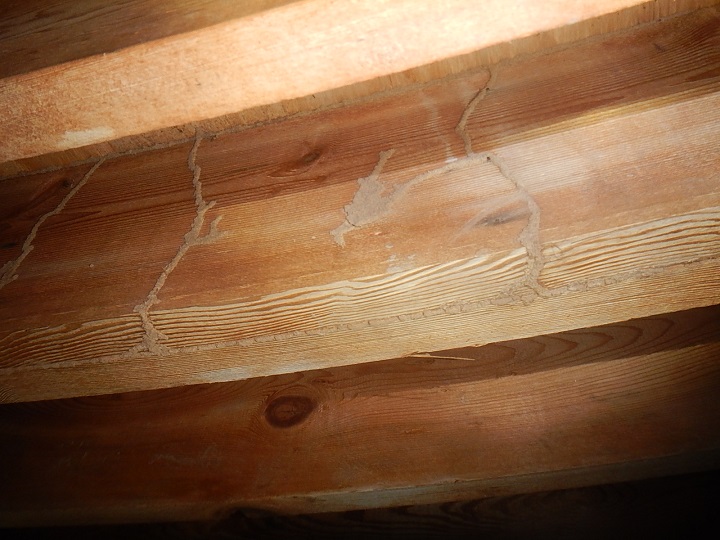 termite evidence found by the home inspector near newburgh indiana          