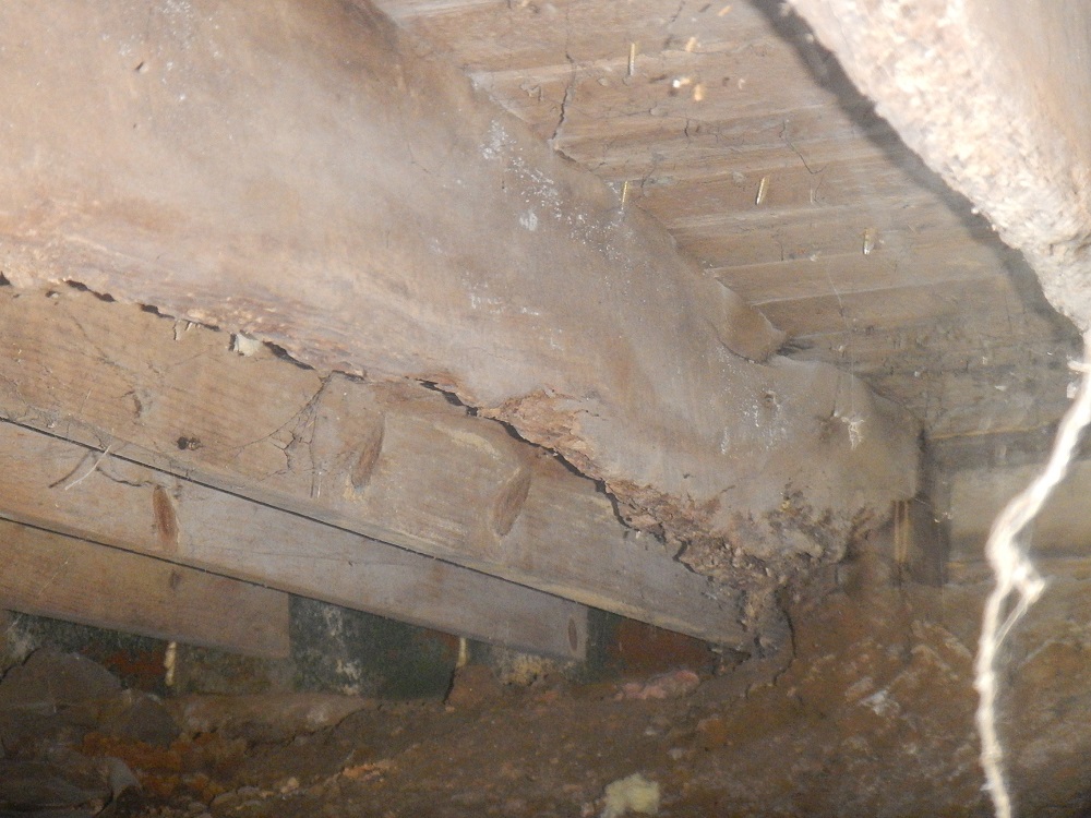 Floor joist destroyed by termites on the home inspector near newburgh indiana