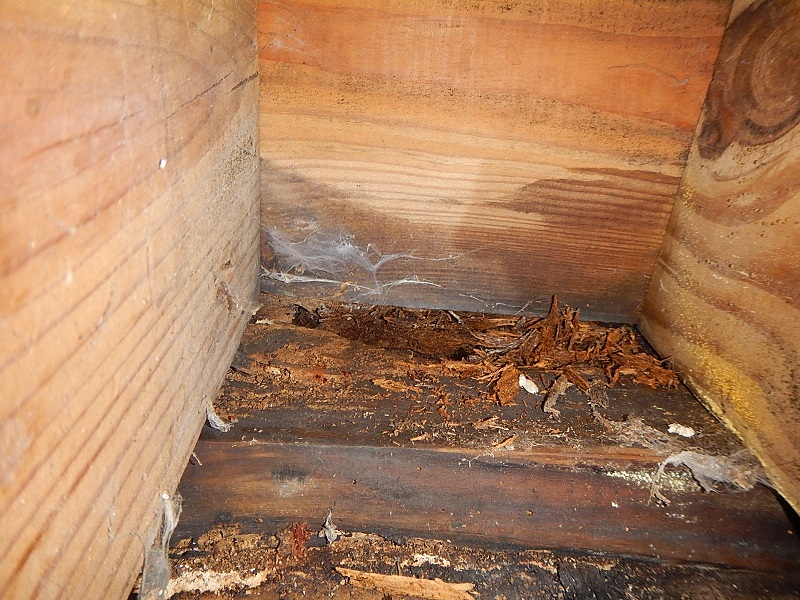 sill plate damaged by the missing flashing shown in photo to the left